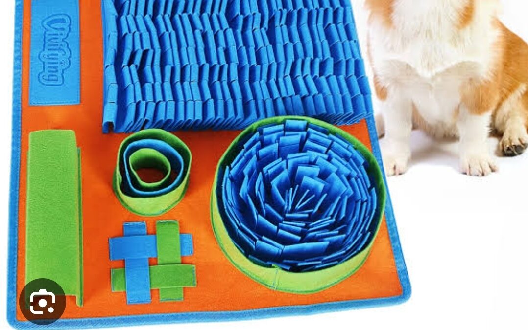 Environment Enrichment