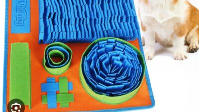 Environment Enrichment