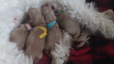 Welcome to world 🌎